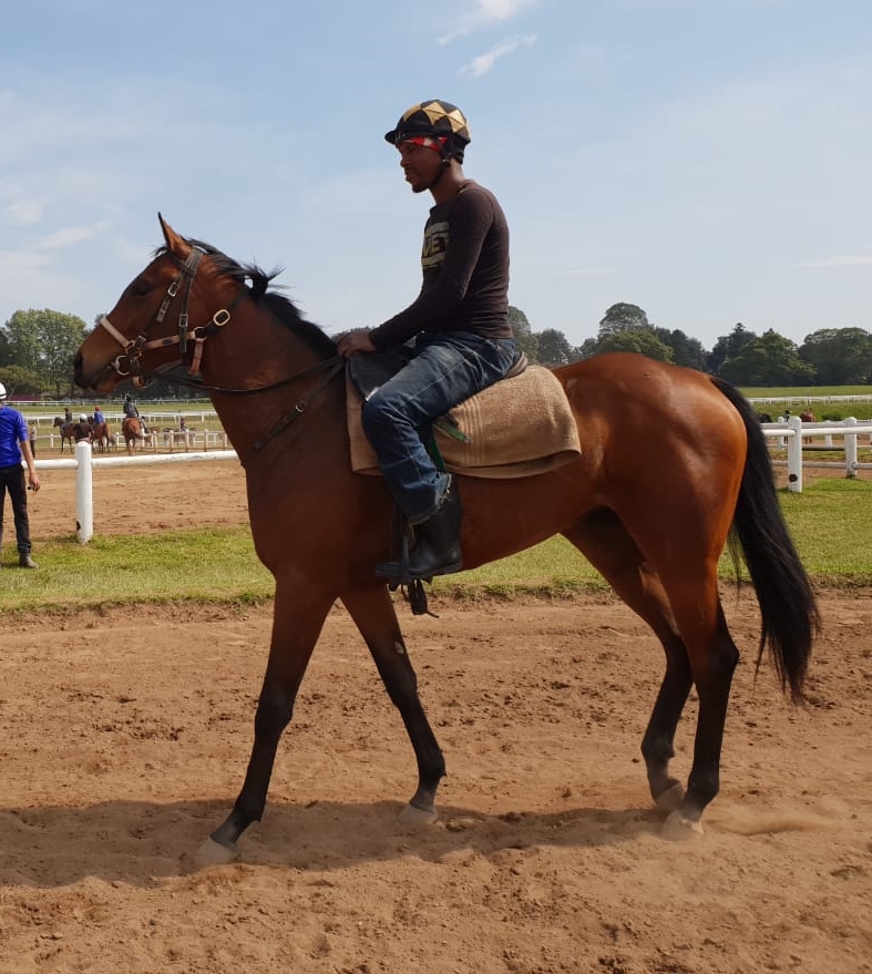 Simply Russian training - horse owned by the Hollywood Syndicate