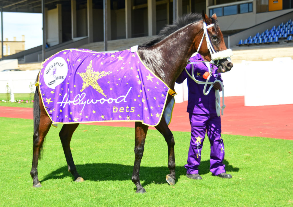 Hollywood Thunder with Hollywoodbets Blanket