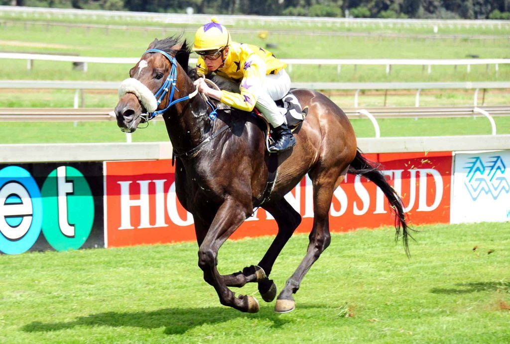 Lauren of Rochelle in action at Turffontein racecourse. Owned by the Hollywood Syndicate and Dream Star Racing.