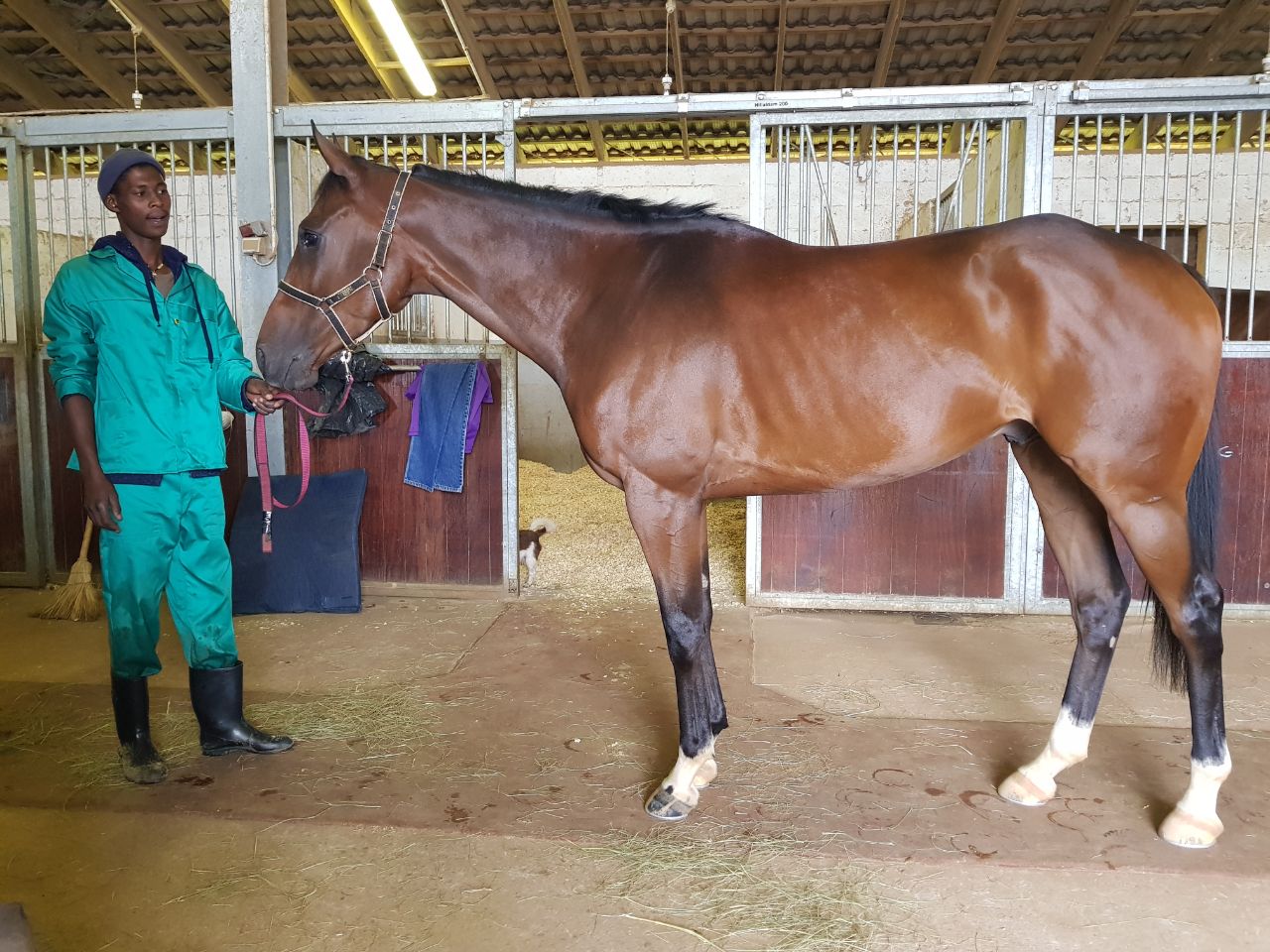 Sunny Bill Du-Toy with his groom Sandile "Henry" Mkhize at Summerveld