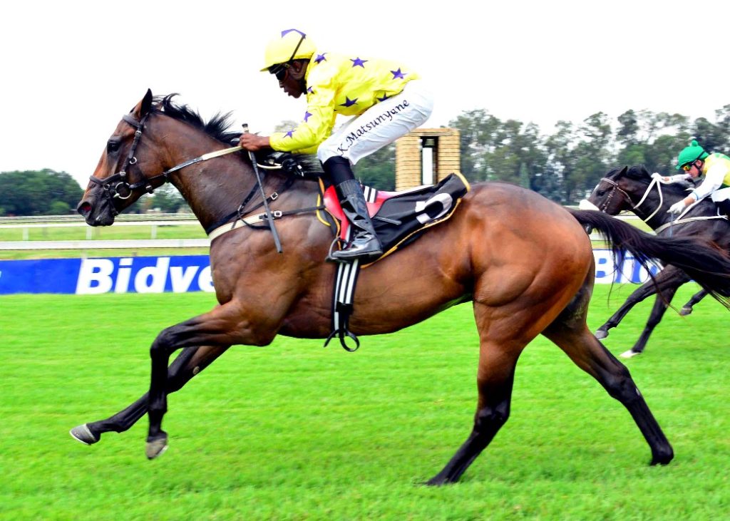 LOOK TO THE SKY winning his maiden at the Vaal with jockey Kabelo Matsuyane on board