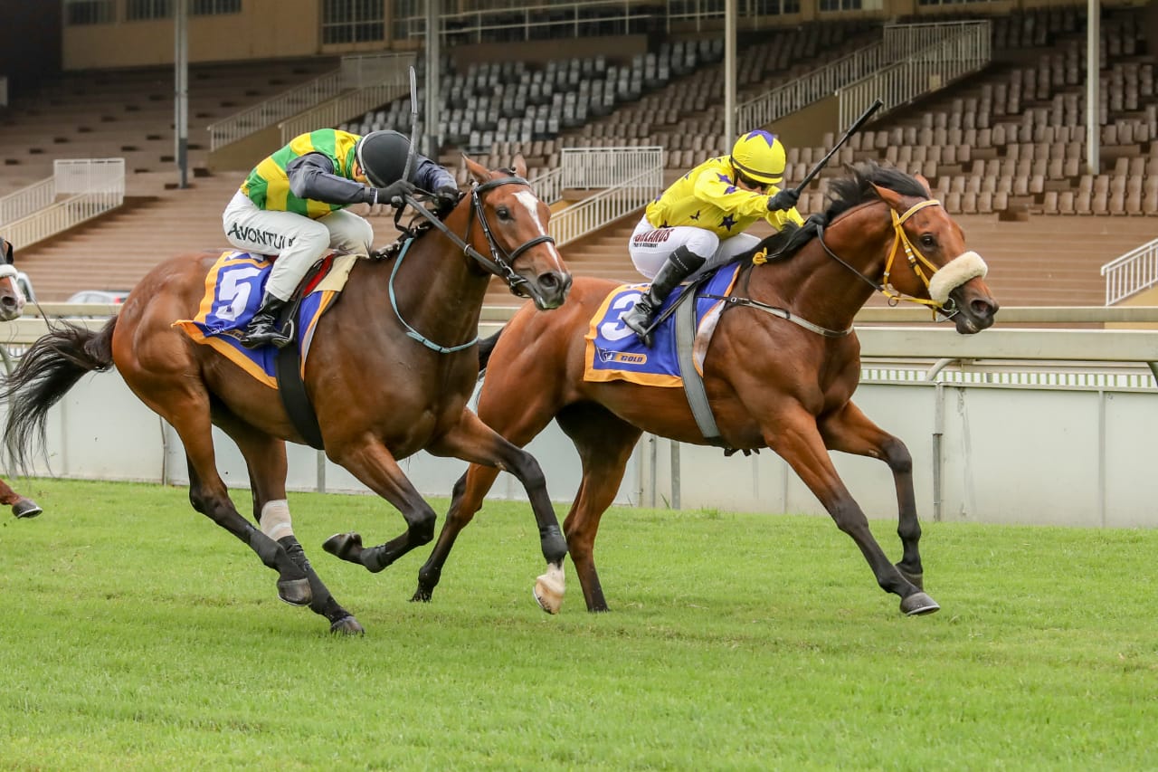 Uncle Charlie winning at Scottsville on Wednesday 16th January 2019 for the Hollywood Syndicate. Ridden by Anton Marcus and trained by Garth Puller.