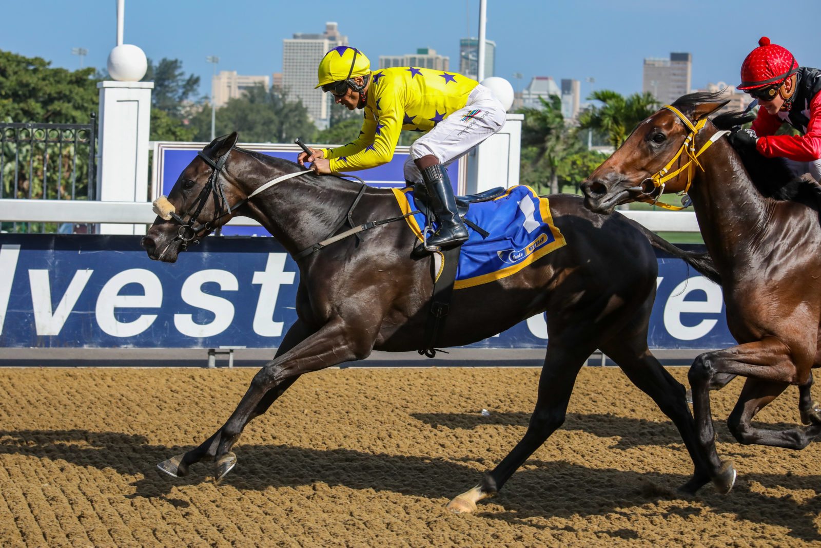 Mocha Rose wins at Hollywoodbets Greyville on the 20th March 2019. Horse racing.