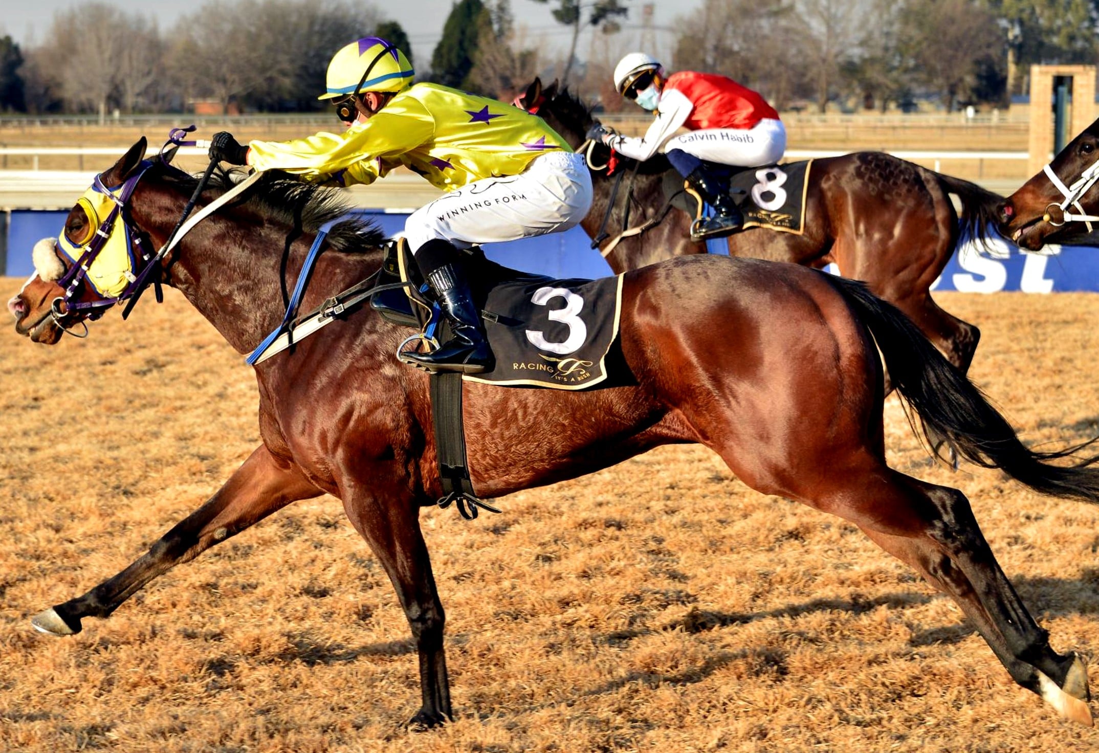 Vaal Races Upcoming Runner - Vaal Racecourse - Monday 17 August 2020 - Hollywood ...