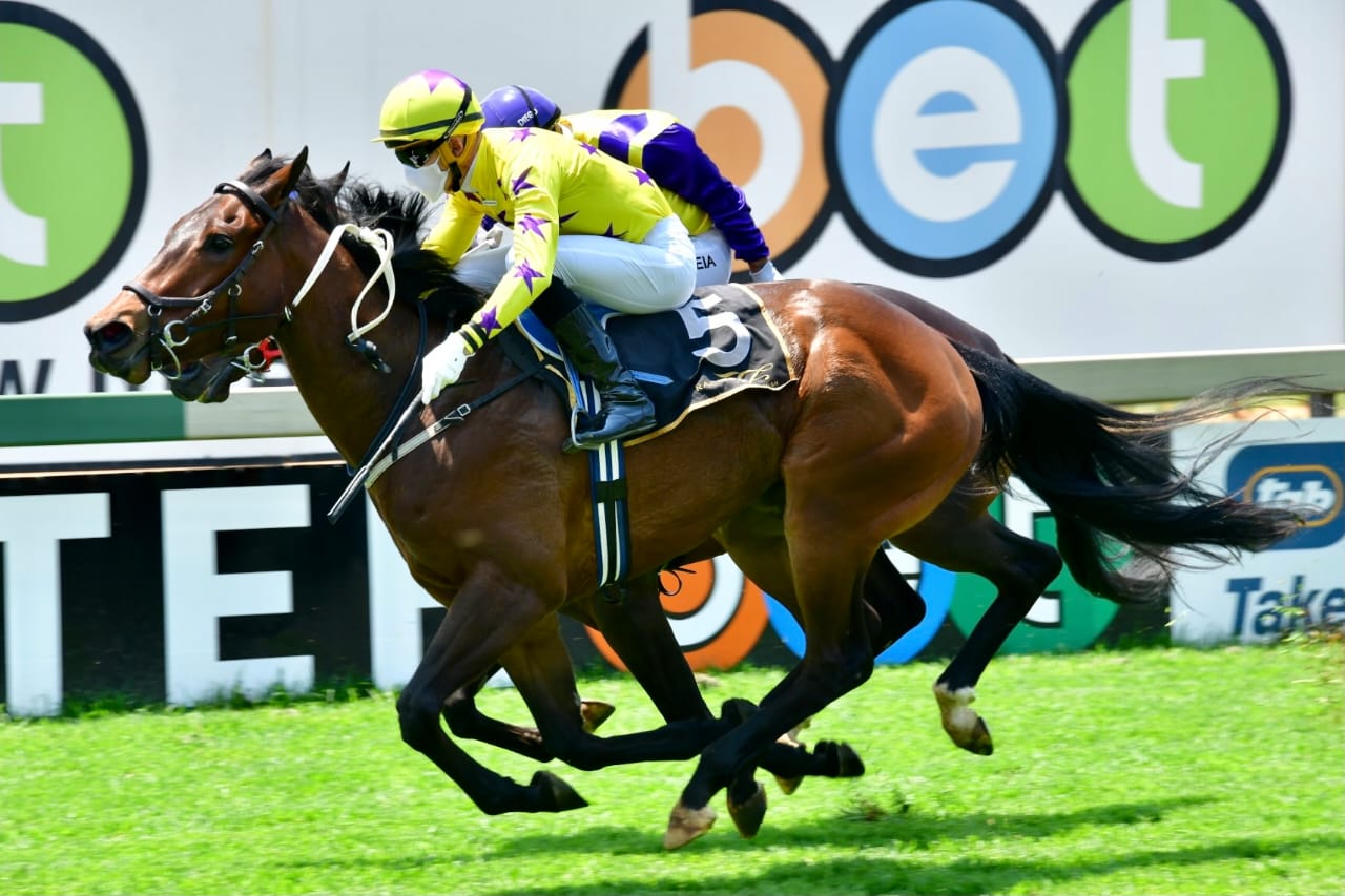 The horse Purple Panther winning at the Vaal