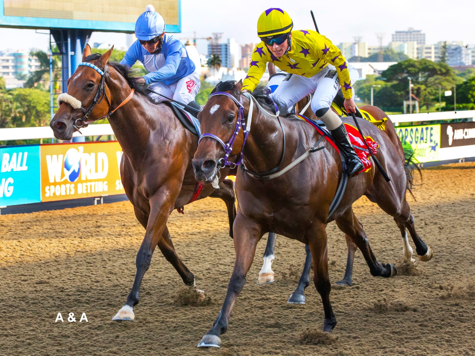 Horse winning on polytrack at Greyville horse racing
