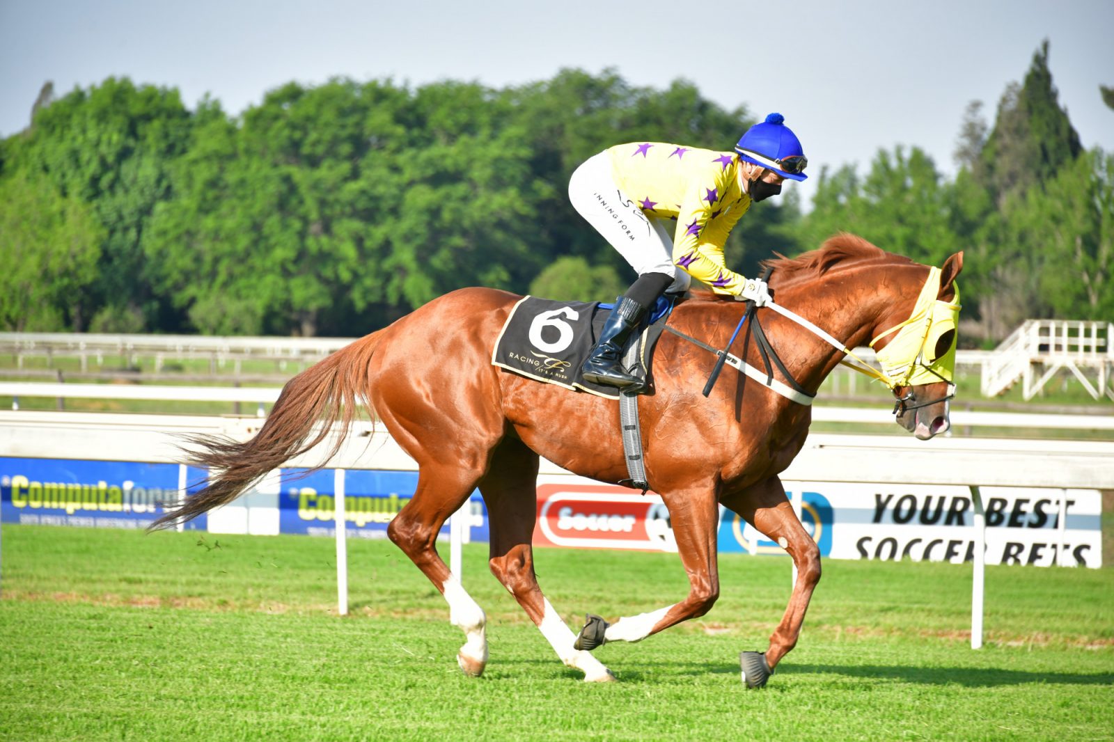 Horse cantering down to the start - Ikigai