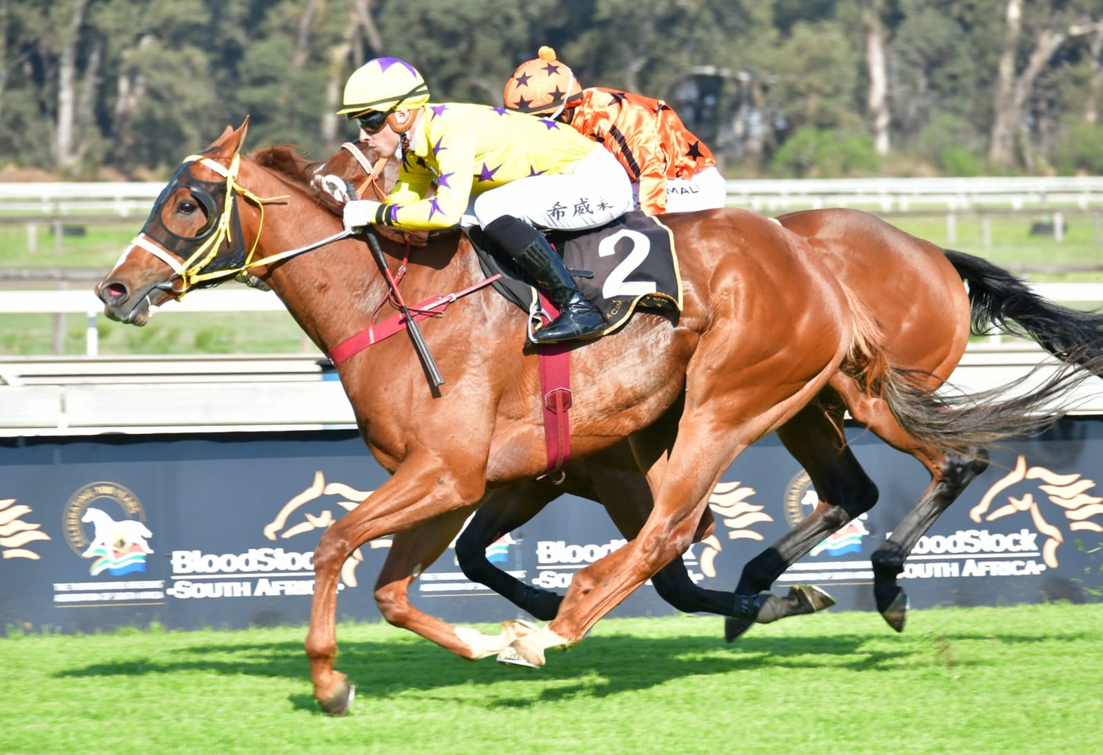 The horse Grappler winning at the Vaal