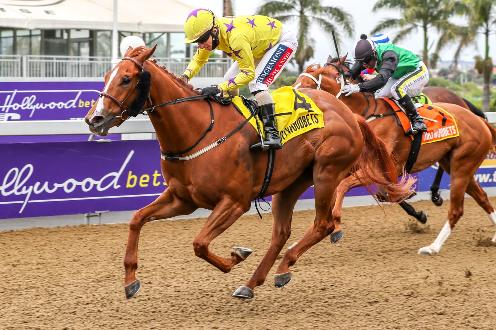 The horse ONE BITE AT A TIME winning at Hollywoodbets Greyville