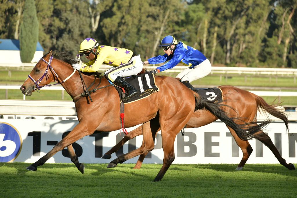 The horse GROOMEDTOWIN wins at the Vaal