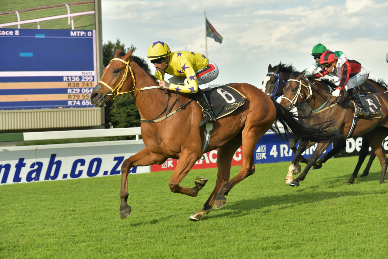 Black Thorn winning at Turffontein for the Hollywood Syndicate.