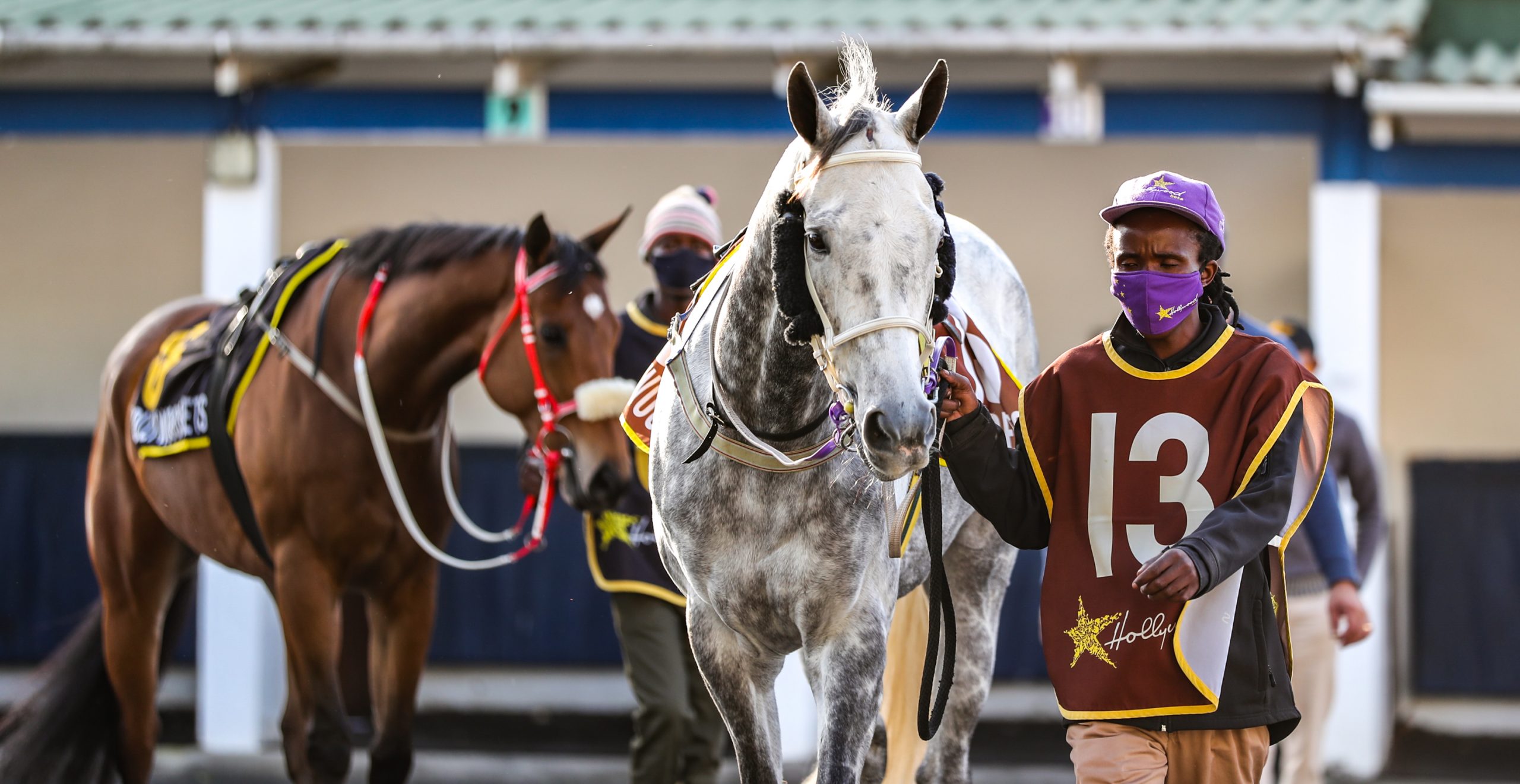 Grey horse at Hollywoodbets Greyville with groom