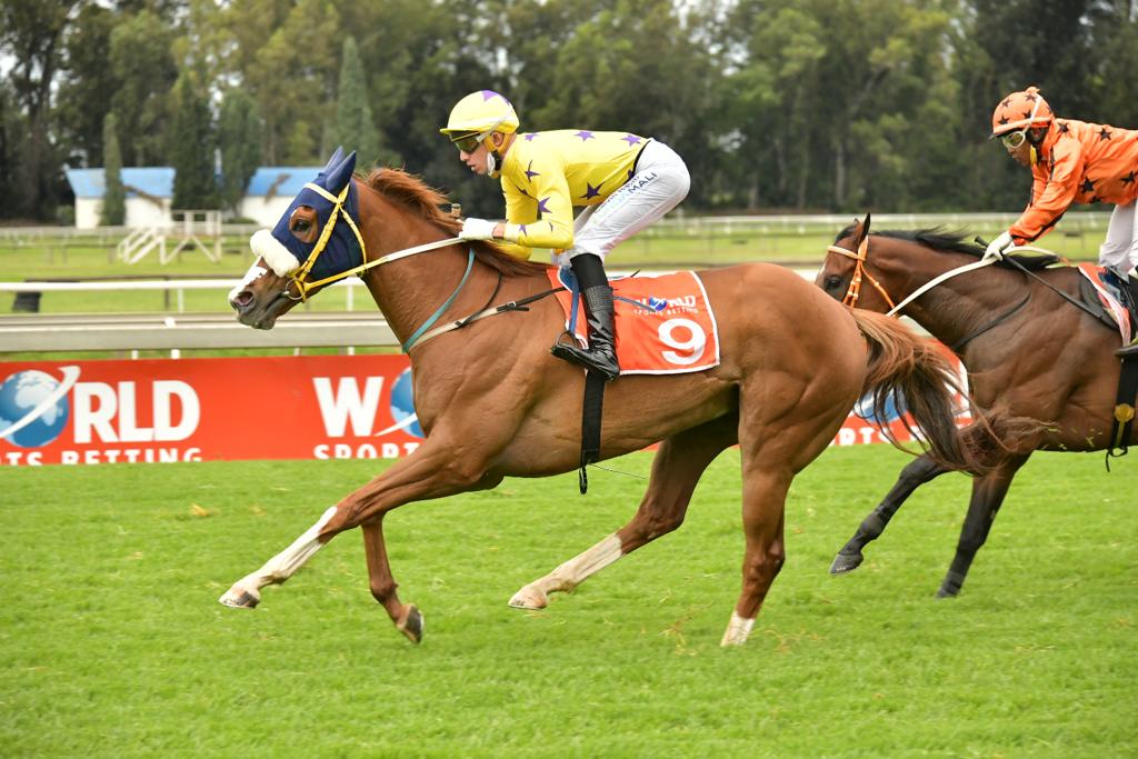 Horse winning at Vaal Racecourse