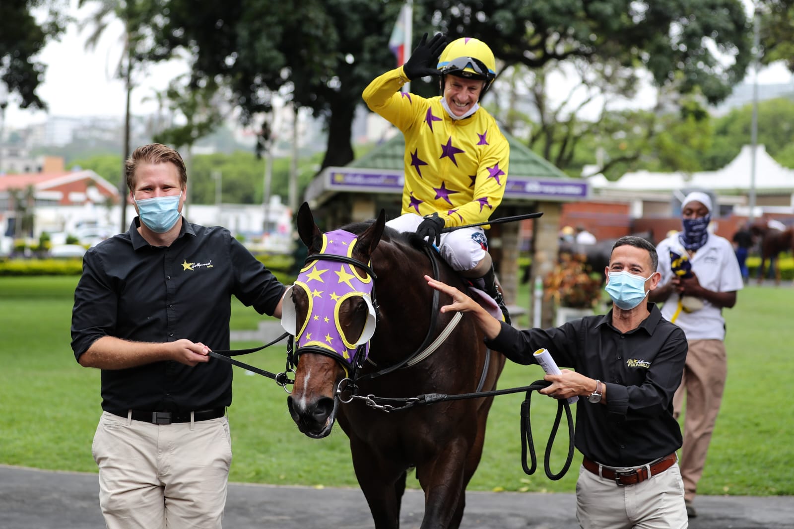 Horse being lead in at Hollywoodbets Greyville