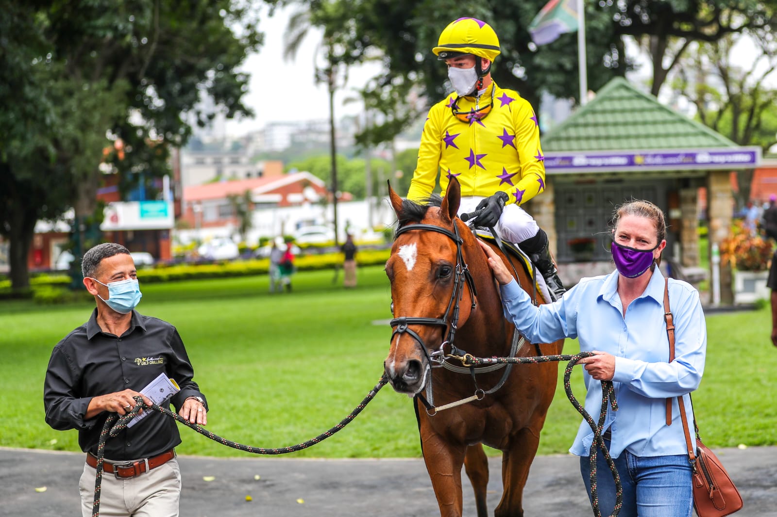 Horse being led in at Hollywoodbets Greyville