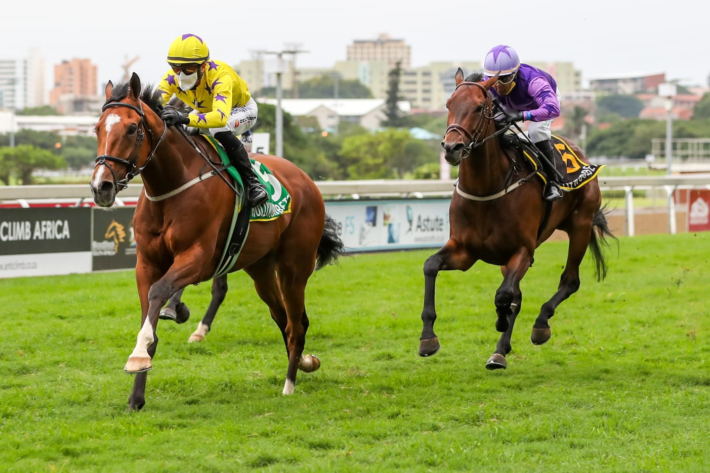 Horse winning at Hollywoodbets Greyville in yellow silks