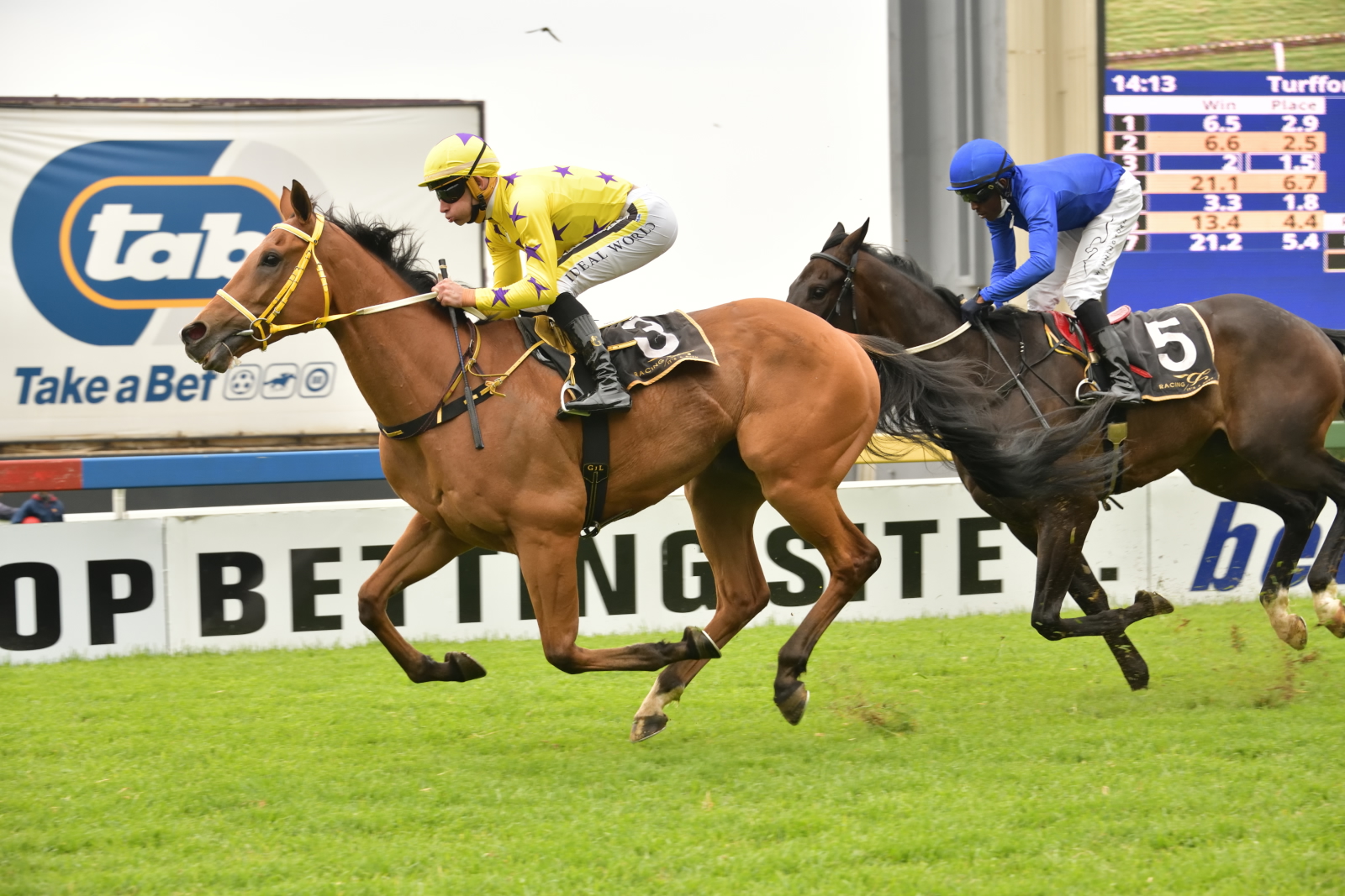 Horse winning at Turffontein with yellow silks