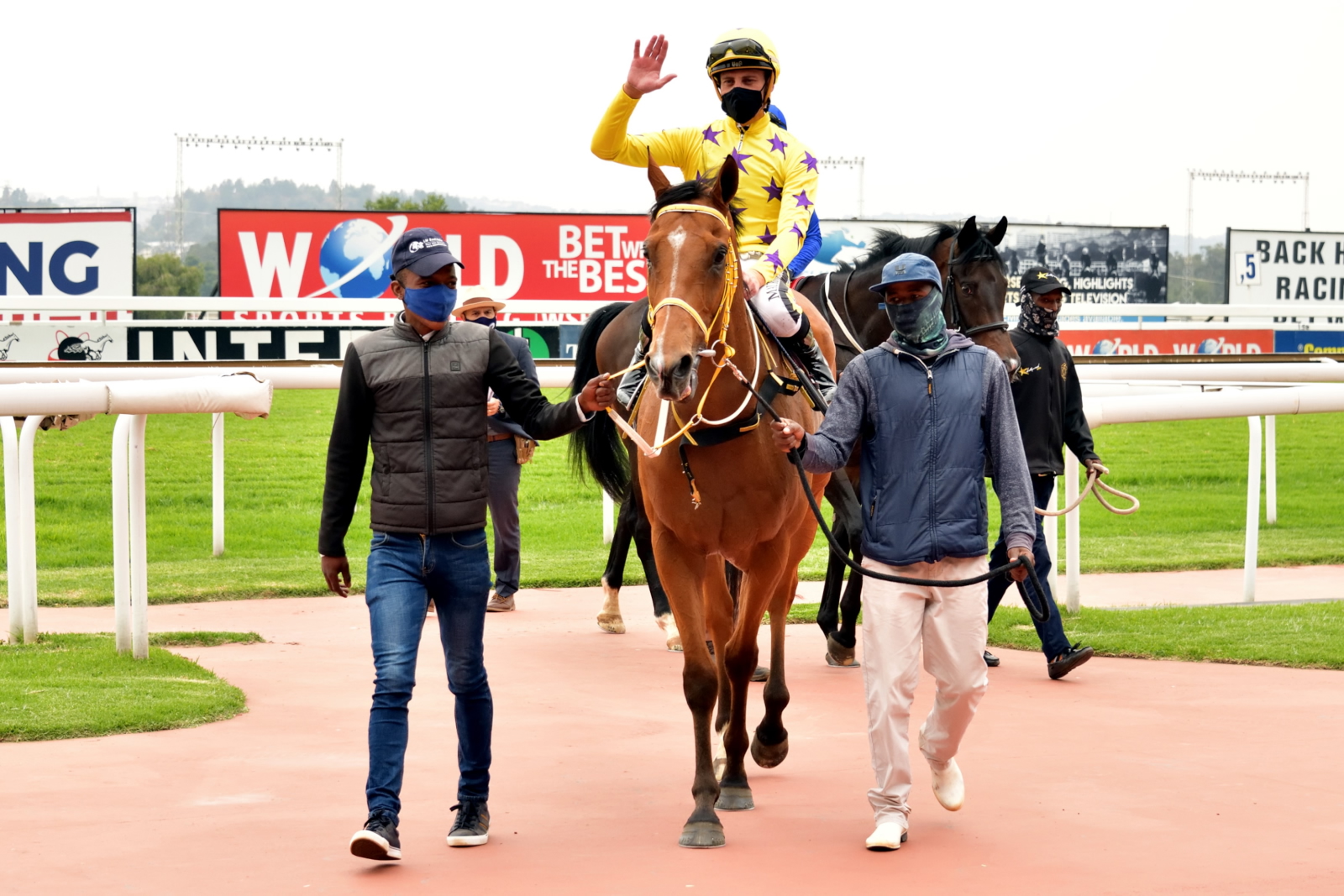 Horse being led in at Turffontein