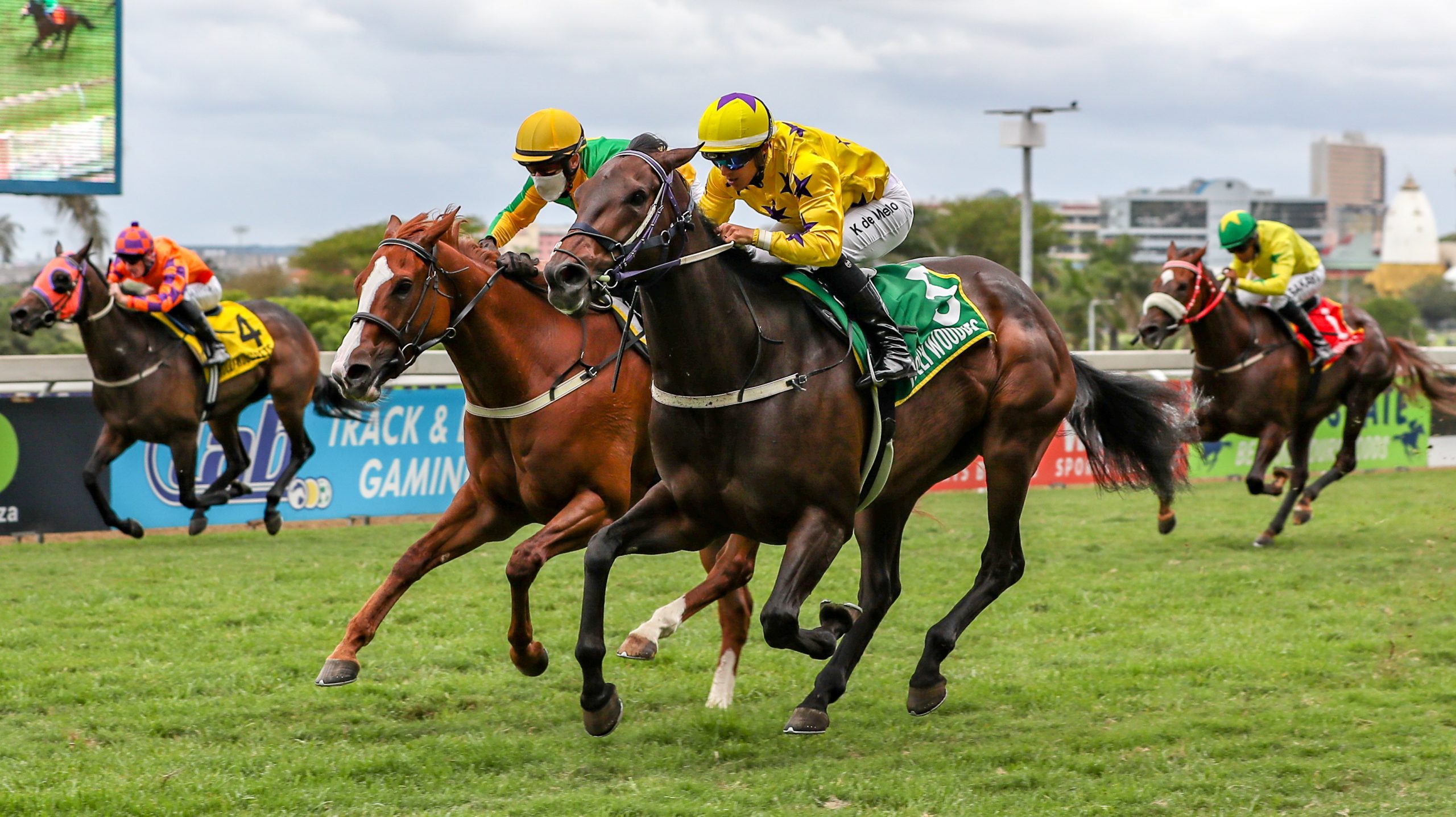 Horse winning at Hollywoodbets Greyville