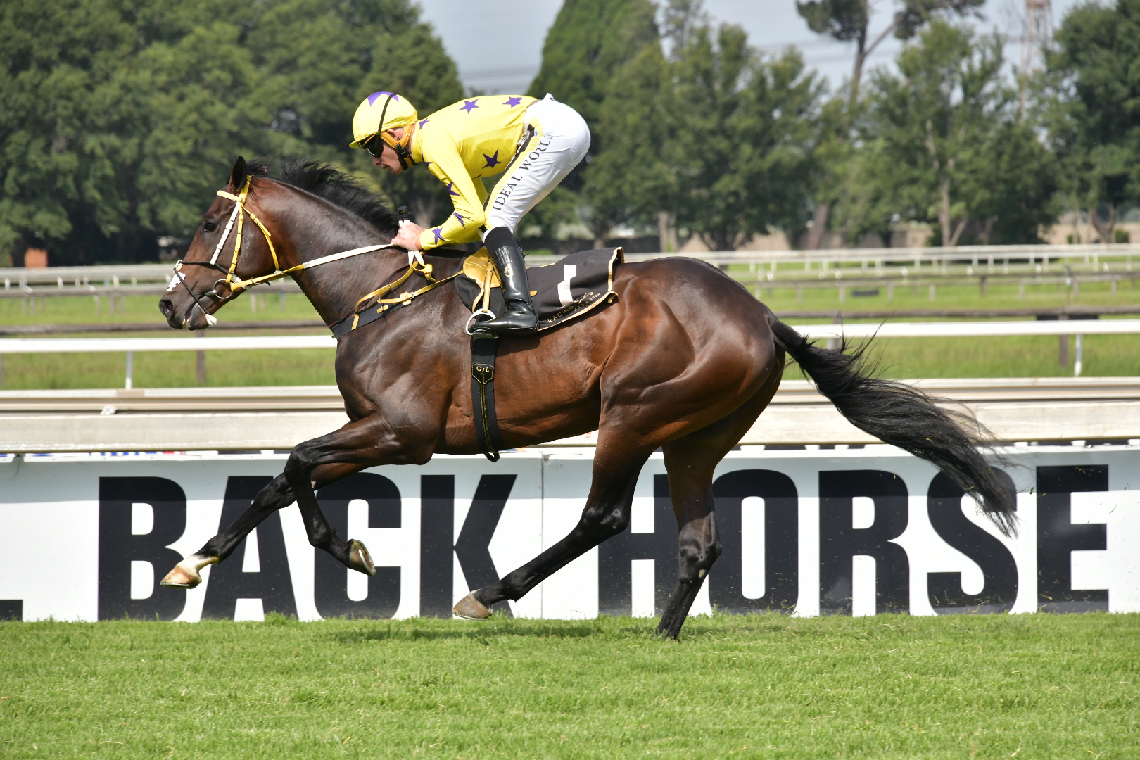 Horse winning at the Vaal with yellow silks