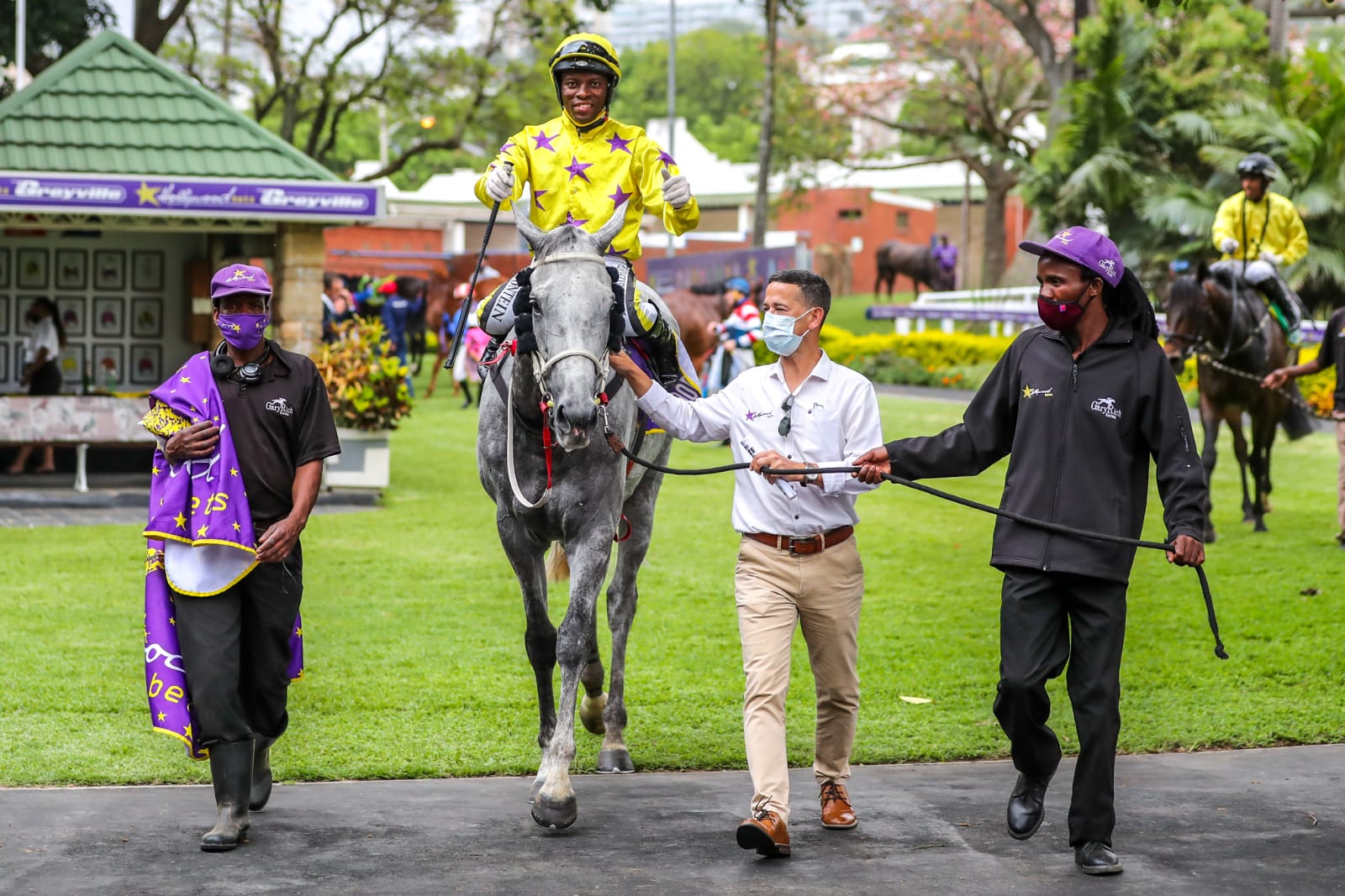 Horse being led in at Greyville