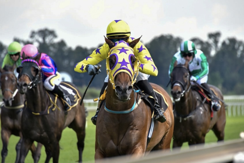Horse racing with jockey on horse in yellow silks with horse in the background