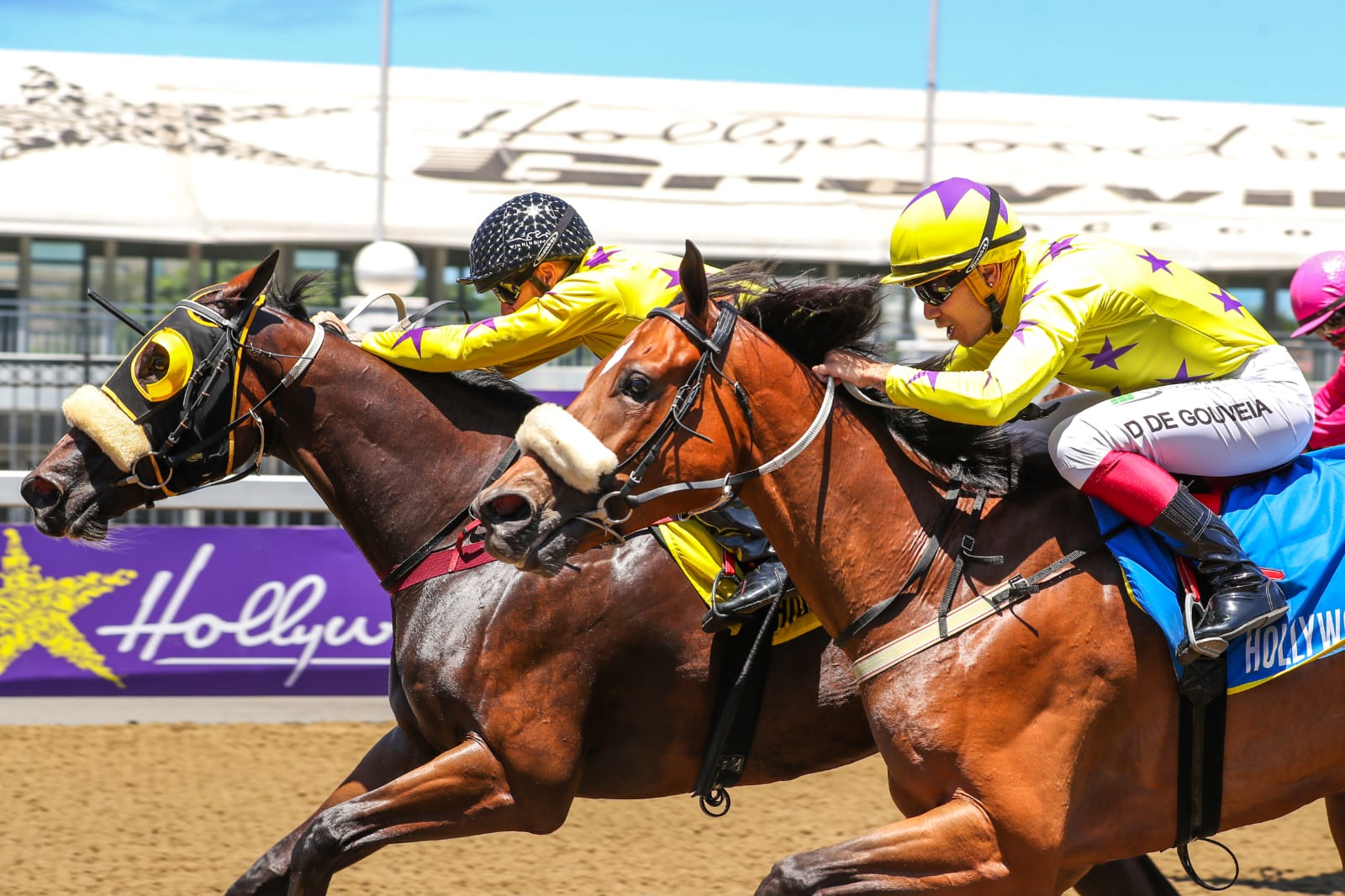 20220207 - Protea Pride wins at Hollywoodbets Greyville, followed by Purple Operator.