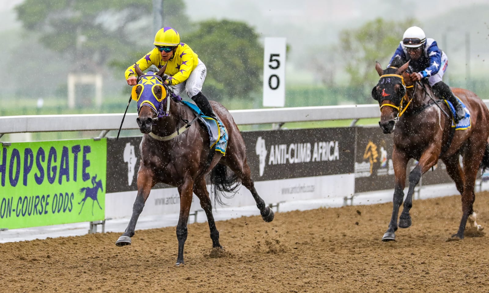 horse winning a race on the Greyville Polytrack