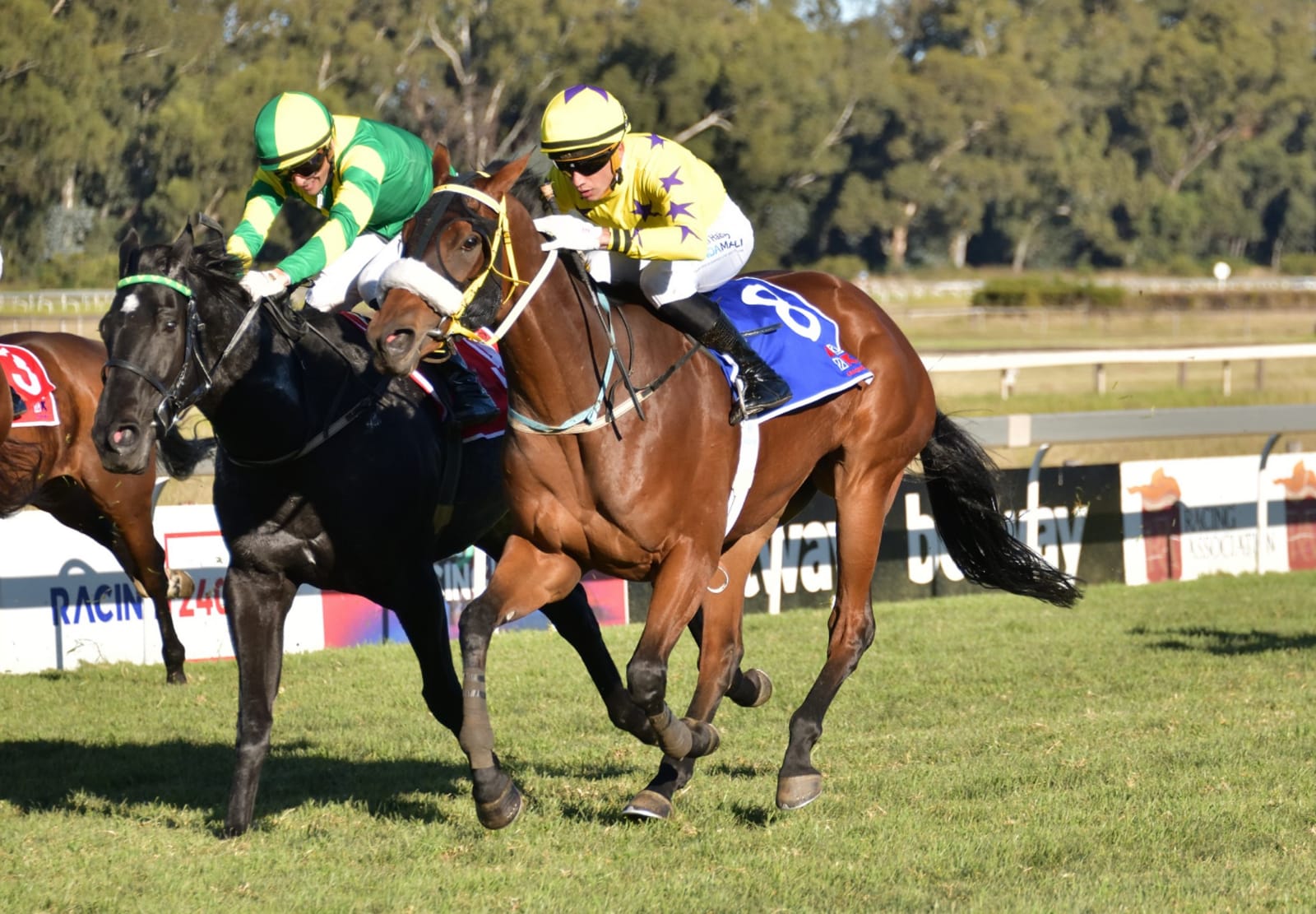 Horse beating another in a race at Vaal Racecourse