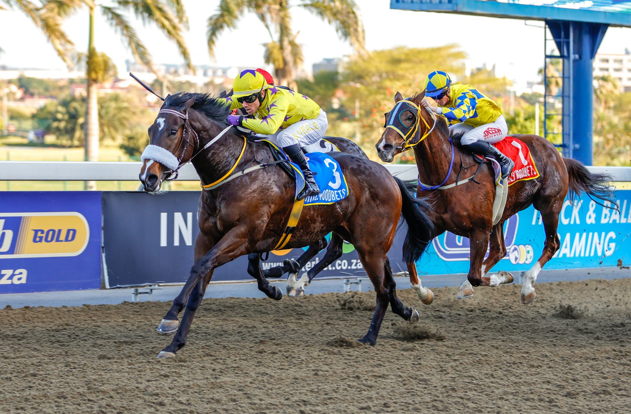 Polytrack Racing Upcoming Runners: Hollywoodbets Greyville Polytrack - Wednesday 20 ...