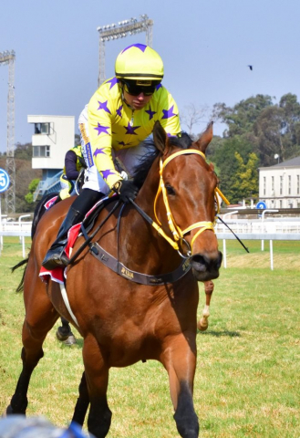 TROIS TROIS QUATRE (horse) wins at Turffontein