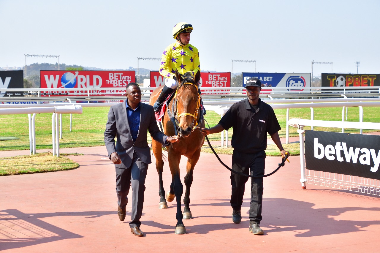 TROIS TROIS QUATRE (horse) being led in after wining at Turffontein