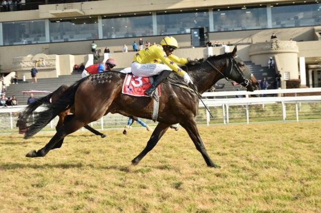 20240630 – REAL RELIEF wins Turffontein – 557 (10)