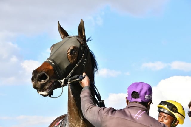 20240630 – REAL RELIEF wins Turffontein – 557 (15)