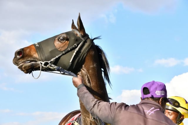 20240630 – REAL RELIEF wins Turffontein – 557 (17)