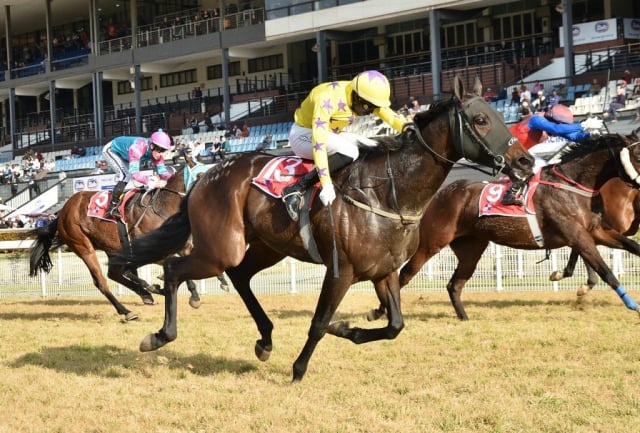 20240630 – REAL RELIEF wins Turffontein – 557 (8)