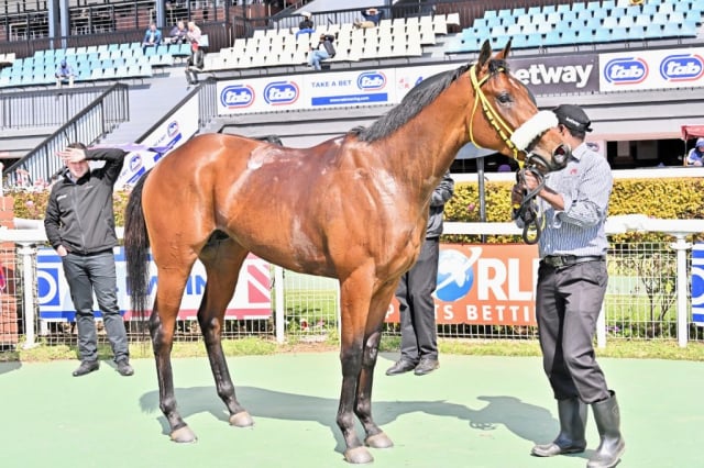 20250809 – CLEVER TREVOR wins Turffontein – 697 (11)