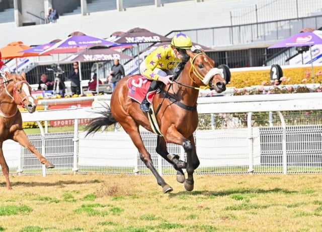 20250809 – CLEVER TREVOR wins Turffontein – 697 (6)