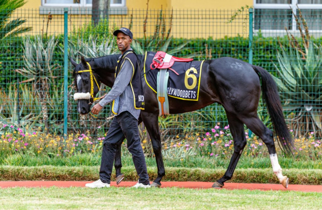 20250914 – Bombardier Boy 2nd at Scottsville (2)