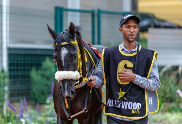 20250914 – Bombardier Boy 2nd at Scottsville (4)