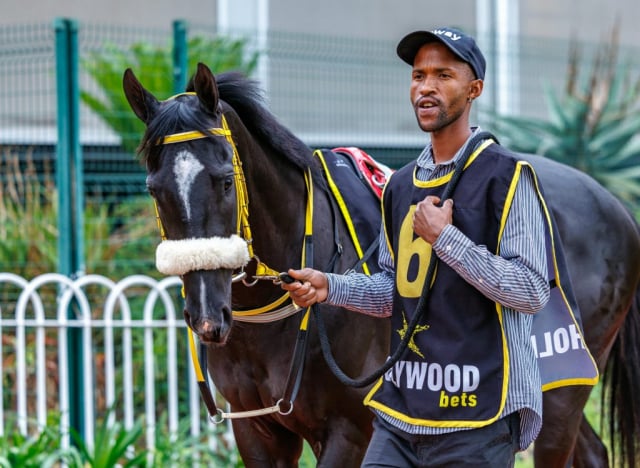 20250914 – Bombardier Boy 2nd at Scottsville (5)