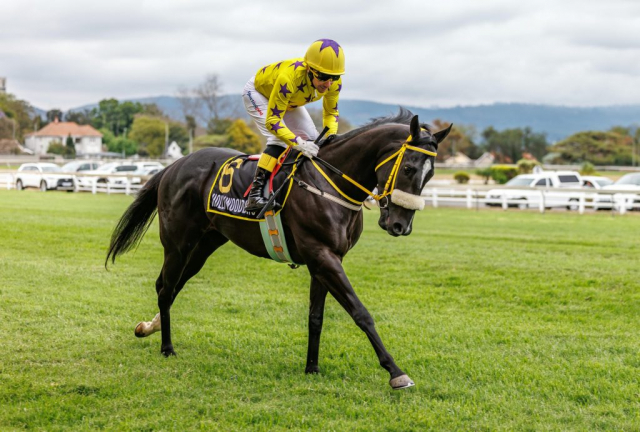 20250914 – Bombardier Boy 2nd at Scottsville (7)