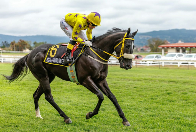 20250914 – Bombardier Boy 2nd at Scottsville (8)