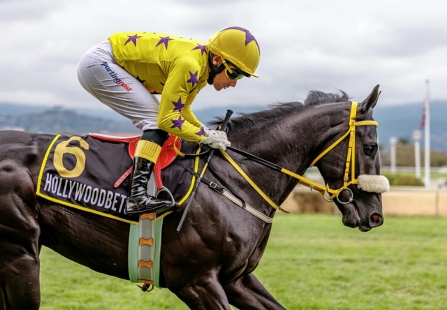 20250914 – Bombardier Boy 2nd at Scottsville (9)