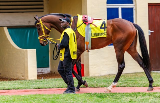 20250914 – Sunnybills Ferrari 4th at Scottsville (1)