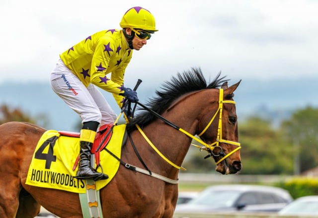 20250914 – Sunnybills Ferrari 4th at Scottsville (10)