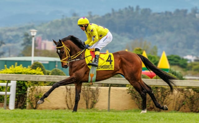 20250914 – Sunnybills Ferrari 4th at Scottsville (15)