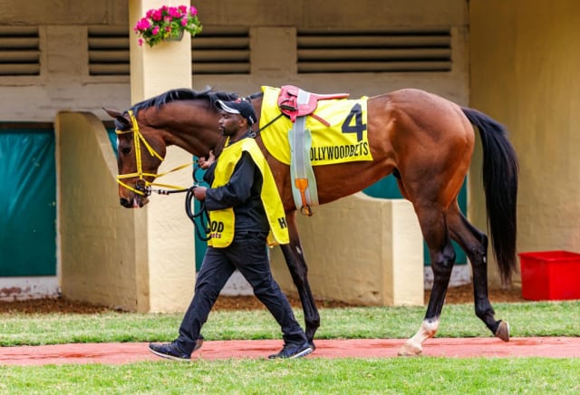 20250914 – Sunnybills Ferrari 4th at Scottsville (2)