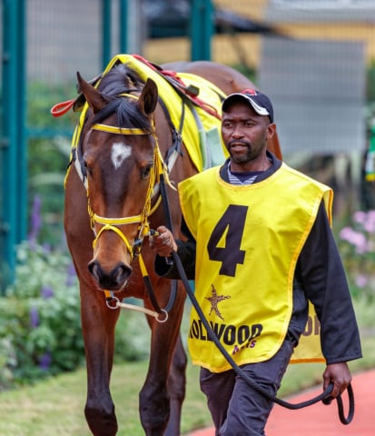 20250914 – Sunnybills Ferrari 4th at Scottsville (3)
