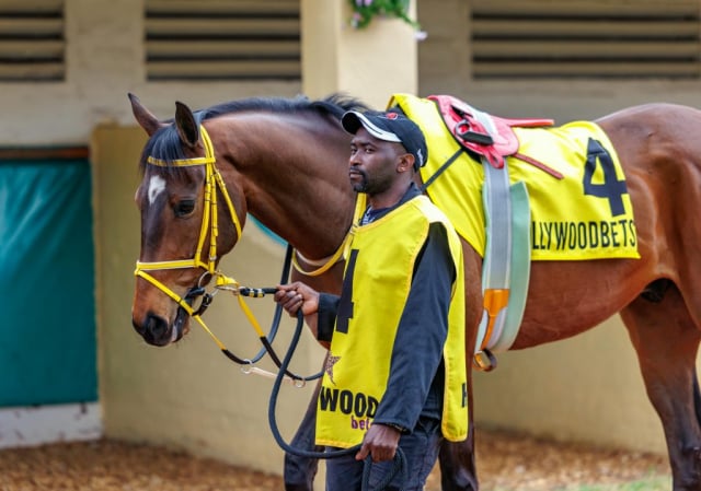 20250914 – Sunnybills Ferrari 4th at Scottsville (7)